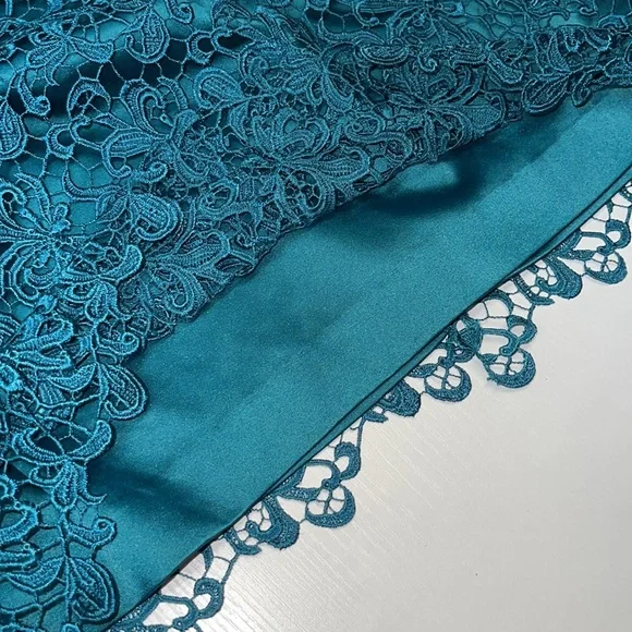 Adrianna Papell Lace Cap Sleeve Dress - Picture 12 of 13